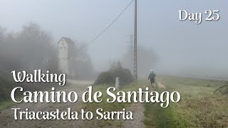 Walking Camino de Santiago  Day 25 Triacastela to Sarria [upl. by Notrub]