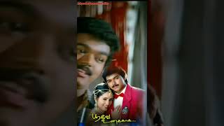 paadatha themmangu songs🎵 thayilandha poove subscribe❤❤❤❤❤❤❤ [upl. by Rj533]