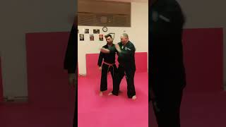 KENPOJUJUTSU TECNICHE AVANZATE COMBAT JUJITSU WSDA BUDOKAN AREZZO MAESTRO 6° DAN LUCIO PICCIOLI [upl. by Ashlie618]