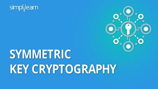 Symmetric Key Cryptography  Stream Cipher amp Block Cipher Explained  Network Security  Simplilearn [upl. by Asalocin]