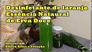 Como Fazer Essência Erva Doce e desinfetante de Laranja natural caseiro [upl. by Roselane139]