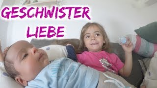 Familien Urlaub  Letzter Tag  Große Geschwister Liebe  Vlog791 Rosislife [upl. by Naitsabes]