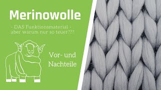 Merinowolle  warum so teuer  VorteileNachteile [upl. by Adnarym]