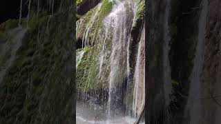 The Forest 4K l Amazing Waterfal l Beautiful Waterfall l Amazing Nature nature waterfall gopro [upl. by Talanta299]