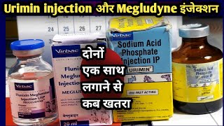 Urimin injection 💉 और Megludyne Injection 💉 दोनों एक साथ लगाने से कब खतरा [upl. by Tannen]