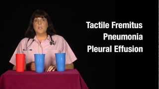 Tactile Fremitus Cups Demonstration [upl. by Inoj]