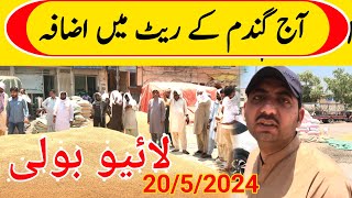 Wheat rate today galla mandi [upl. by Lener]