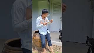 จังหวะดี🤣🤣 funny ฮาๆ comedy shorts viralvideo fun subscribe funnymemes ลูกชายหล่าอีสาน [upl. by Jenesia]