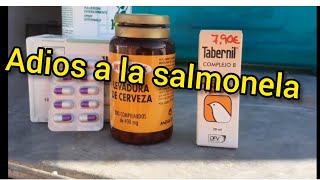 ¡ Cuidado  Palomas malas por salmonela en el palomar  A qui la cura  HD [upl. by Nahtnamas407]