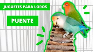 JUGUETES para AGAPORNIS 🐣 35 ► Cómo hacer un PUENTE 🤩 [upl. by Alben]