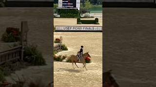 throwback to pony finals 2024 horse equestrain tbt ponyfinals 2024 fypシ゚viral slowmo blowup [upl. by Gredel]