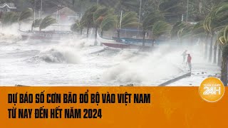 Dự báo số cơn bão đổ bộ vào Việt Nam từ nay đến hết năm 2024 [upl. by Saxon]