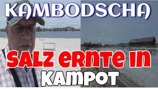 Kampot Kambodscha Salzfelder und Landschaftstour mit Uncle Tom [upl. by Lehcem]