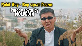 Rokit Bay  Бор арьст Гаамп  Parody cover by Molpedia 😅 [upl. by Ilatfen75]