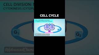 Cell cycleMitosisMeiosisBiology yt shortsfeed bio why fy youtuber [upl. by Eissolf512]