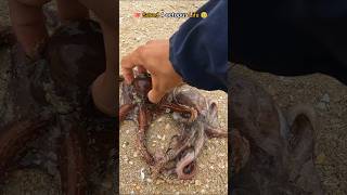 🐙Rescue mission Successfully saved 4 octopus friends 🥺 [upl. by Aerdnad991]