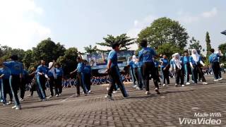 Stimart quotAMNIquot 52  Goyang Dumang Taruni [upl. by Carri]