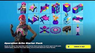 Operation Brite Starter Pack  Brite Agent Gameplay  Fortnite  Chapter 5  Season 3  Wrecked [upl. by Mariko927]