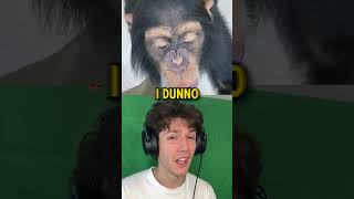 MONKEY DRINKS POWERADE FUNNY shorts reaction [upl. by Acimot]