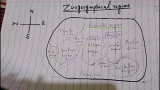 Zoogeographical Regions and how they are separated from each other Palaearctic being largest region [upl. by Ivar894]