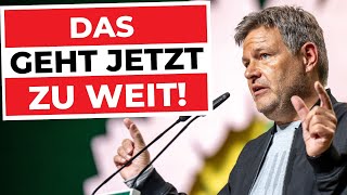 HEIMLICHE ENTEIGNUNG von FAMILIENUNTERNEHMEN  neuer ANTRAG auf dem PARTEITAG der GRÜNEN [upl. by Anna-Diane]