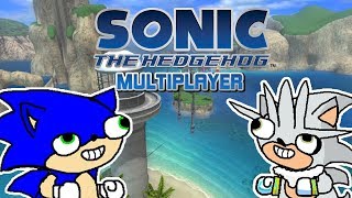 Cómo NO jugar a los Sonic en Multijugador 2  Sergindsegasonic [upl. by Anayrb838]