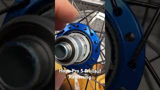 Hope Pro 5 Freilauf Rasterung hope mtb hopepro5 [upl. by Phillada604]