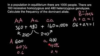 How to calculate allele frequency [upl. by Wulfe944]