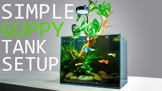 How to Setup a Simple Guppy Fish Tank TUTORIAL [upl. by Gunner773]