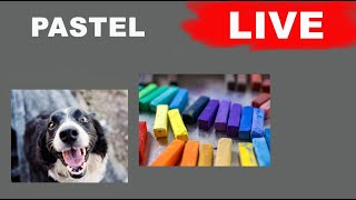 Live Session  Soft pastel painting [upl. by Else116]