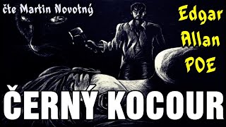 Načteno  Černý kocour Edgar Allan Poe CZ [upl. by Bear]