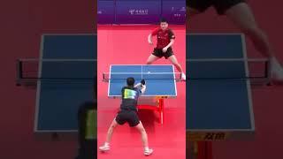 Ma Long vs Fan Zhendong 💀 pingpong tabletennis tenisdemesa tischtennis shorts [upl. by Ivek]