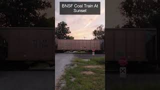 Sunset Coal Train shorts trainvideos railfanning [upl. by Aleil]