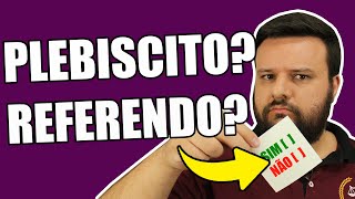 O QUE É PLEBISCITO REFERENDO E INICIATIVA POPULAR  CONSTITUCIONAL  O DIREITO E EU [upl. by Elset]