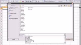 Excel2007 DBF importieren [upl. by Dnalloh]