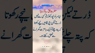 ❤👌Hazrat Ali urdu Motivational quotes  Hazrat Ali quotes status shorts youtubeshorts status [upl. by Sandell]