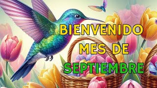 🌟 ¡Bienvenido Septiembre ABRELO Bonito Mensaje Frases y Deseos para Empezar el Mes 💫 [upl. by Diao]