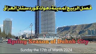 فصل الربيع لمدينة دهوك كوردستان العراق Car driving Tour in Duhok City Sunday the 17th of March 2024 [upl. by Bergin979]