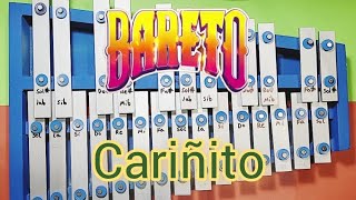 Cariñito  Bareto  Cover Xilófono Cromático [upl. by Ahsemaj]