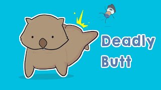 Wombats Butt is Deadly Wombat Facts Animation [upl. by Kaufmann]