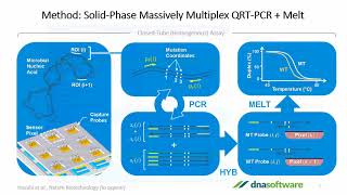 Multiplex PCR Assay Design Made Easy [upl. by Estren312]