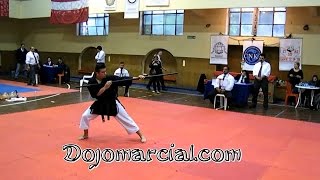 Chikin Bo  Chikin No Kun  Kata Bo  Campeonato de Kobudo  Metropolitano CNKI Argentina 2014 [upl. by Ytsirc]