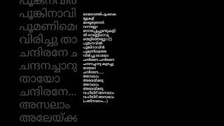 Pathinaalam ravinte❤️song lyrics lyricvideo music song viralvideo [upl. by Tatianas]