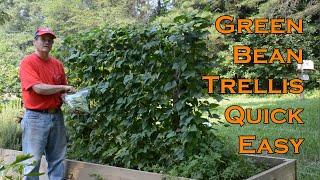 Easy garden vegetable support Green Bean Trellis Easy and Quick [upl. by Asalocin178]