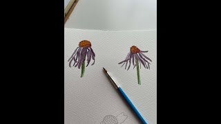 Echinacea tutorial short [upl. by Bearnard]