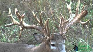 322 Inch Whitetail Buck with a Crossbow in Alabama [upl. by Scrivens]