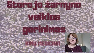 Sveikata  Kaip harmonizuoti storojo žarnyno veiklą 29 [upl. by Kolva897]