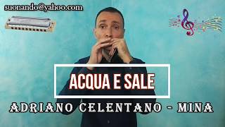 Canzoni semplici con larmonica Adriano Celentano  Mina  Acqua e sale [upl. by Fuller]