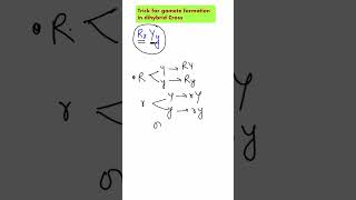 ShorttrickGamete formation in dihybrid crossheterozygous plantNeetncertbiology [upl. by Lalise]