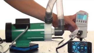 Iwaki and Panworld external aquarium pump demo Quality amp efficiency versus price [upl. by Anauq]